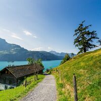 Wanderung mit Aussicht in Sisikon am Urnersee