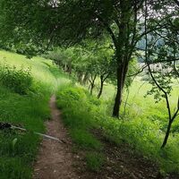Trubachtal