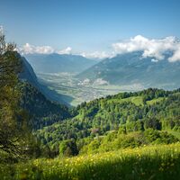 Narzissenwabderung Blick auf das Bündner Rheintal