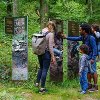 Spielerische Erklärungen entlang des Höhbeck-Elbholz-Weges