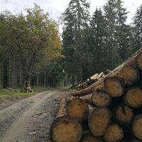 Von Köthnitz zu den Wolcheteichen