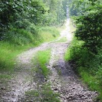 Steilabfahrt im Osthang, die Route führt direkt auf die Externsteine zu