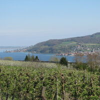 Blick vom Panoramaweg