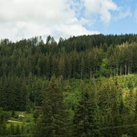Hofkapelle beim Michelhof aus der Ferne
