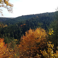 Herbstlicher Blick über den Nordschwarzwald