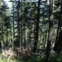 Aufstieg nach der Bärenlacken