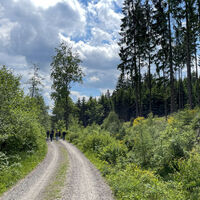 Weg zum Willertshagener Teufelsstein