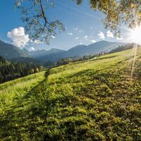 Sonniger Nachmittag am Oberen Talbachweg
