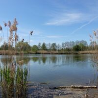 Teich bei Oberwellenborn