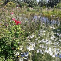 Aubiet - Werk "La Nourrice" von Olivier Nattes