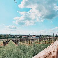 tolle Aussicht oberhalb von Landau-Arzheim