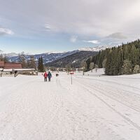 20240125_Kulmberg-Runde_2388.jpg