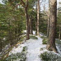 Breitenstein - Luckerte Wand - Prein a. d. Rax