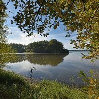 Etang des landes-réserve naturelle nationale-Lussat-dépt.23