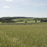 Landschaft am Kleeberg 2 CC BY-SA - LTM.jpg