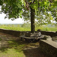 Ruhebank unter altem Baumbestand im Schlossgarten Herxheim am Berg