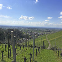 Aussicht ins Rheintal