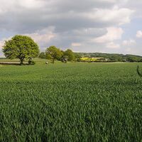 Bramschebach - Blick zurück