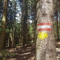 Markierung: Rundwanderung: Pöllauberg - Masenberg - Schwaig - Pöllauberg in der Oststeiermark