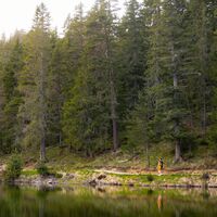 Möserer See im Frühling - Paar läuft entlang des Sees Aufnahme von weit weg (1).jpg