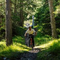Enduro Plaine Morte - Wald