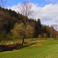 Kirchschlag i. d. Buckl. Welt - Tauchen