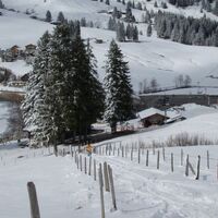 Scheeschuhtrail-Riggisalp
