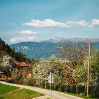 Blütenwanderung im Granitztal