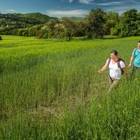Preussensteig - gegenüber Burg Lichtenberg