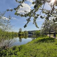 Mulderadweg Zwickauer Mulde