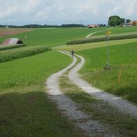 Weg vor Leuenberg - ViaJacobi Etappe 30