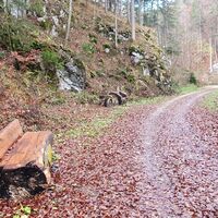 8.5 km Schöne Sitzgelegenheiten