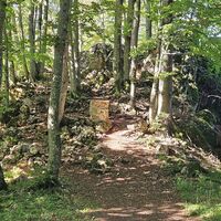 Geisbühel-Gipfel