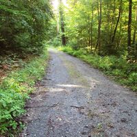 Salzgitter Höhenzug, Wanderweg 29 Wegeverlauf