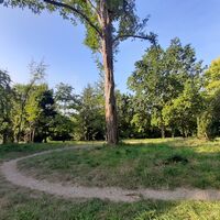 Naturgebiet Kirschenberg bei den VitalWegen 5 und 22