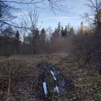 Steig nach der Straßenüberquerung