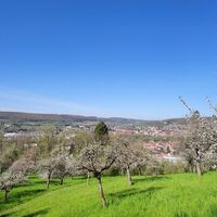 Aussicht auf Auersmacher