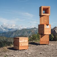 Games of Cubes mit Blick auf Val Concei und die Adamello-Gruppe