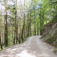 Abfahrt Jochalm Forstraße