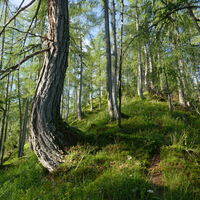 schön schlängelt sich der Steig am Kamm bergauf