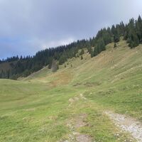 Weg durch Wiesen ab Bereuters Neualpe