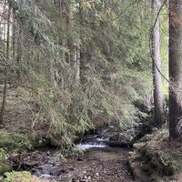 Weiter am plätschernden Auersbach entlang