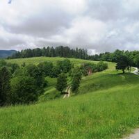 Durch_einen_schönen_Hochwald_Ausblick