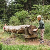 Lernen mit der Natur - Berni´s Ofenerlebnisweg