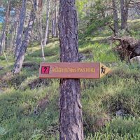 Das Schild
