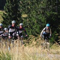 Mountainbiker auf Gipfeltrail