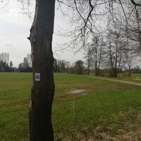 Bienwald-Brunnenweg - Symbol und Ausblicke nahe Naturfreundehaus