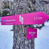 Ziel erreicht - Mödringalm 1550 m