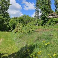 4.4 km Dr. Siegfried Mandl-Weg zur Burgruine
