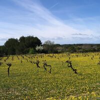 Wanderung auf der Via Domitia0008 ©CDRP34